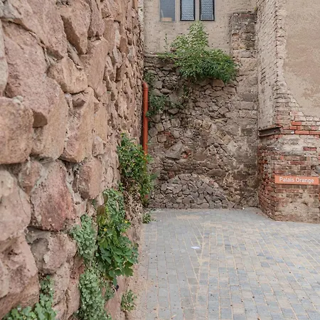 Balkon Mit Weinbergblick Altstadt Parkplatz - Palais Orange Διαμέρισμα